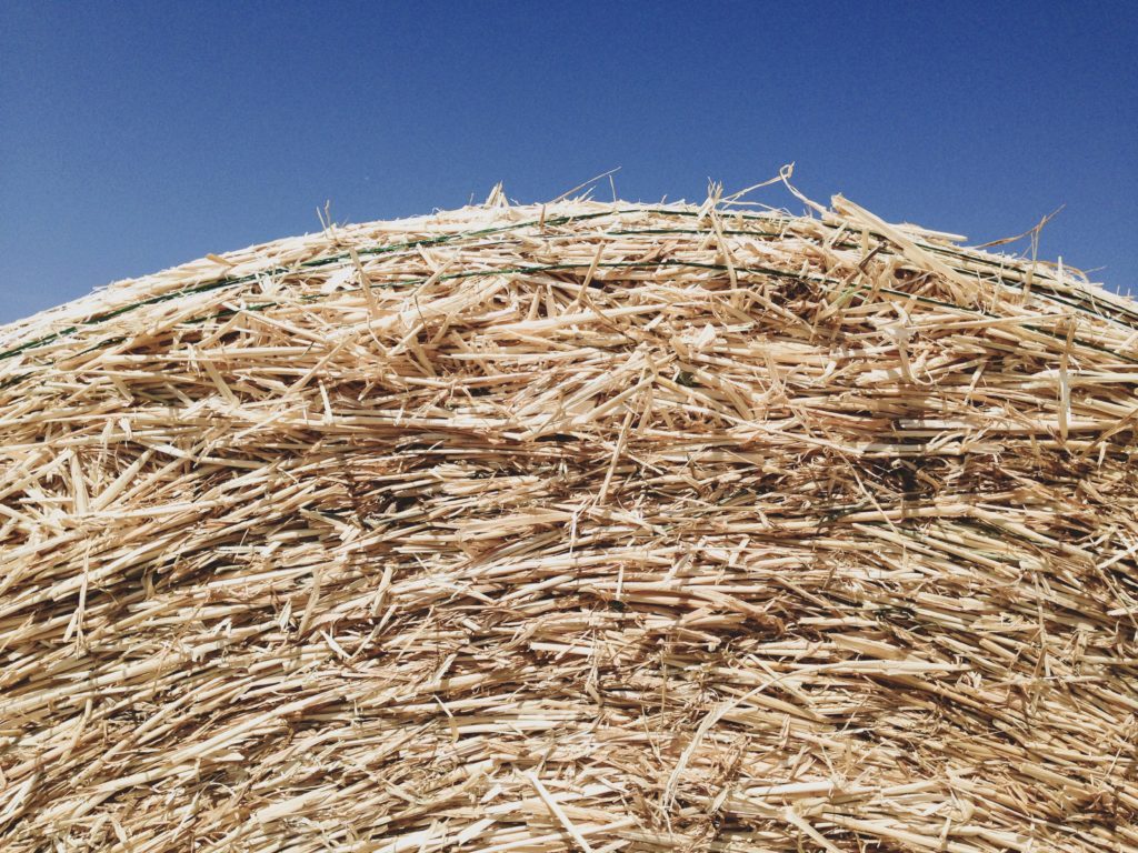 Bala de paja y cielo azul